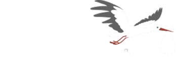 Vorgeburtliche Krankenkasse